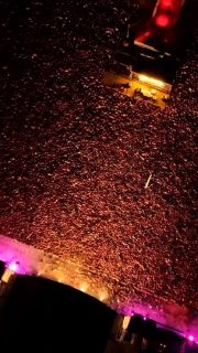 BON ANY NOU I FELIÇ CANETROCK!✨